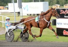 Inför V86: Kihlström tycker att det ser vettigt ut Inför V86®: Kihlström tycker att det ser vettigt ut