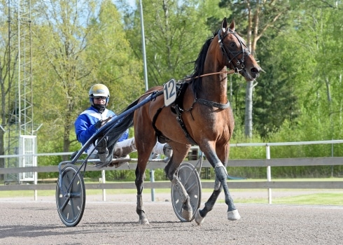 Inför V86: Stjärntränaren om superhästen