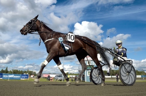 Inför V75® (lördag jackpot): Felicia lovar att fira om det blir ny skrällseger