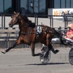 Inför V75 onsdag: Spräcker Zarenne Fas den svenska nollan? Inför V75® (onsdag): Spräcker Zarenne Fas den svenska nollan?