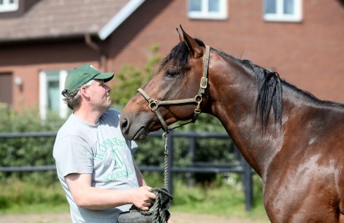 Inför V75: Handsome Brad segerbud i Åby Stora Pris