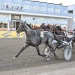 Inför V86/jackpot: Antonio Tabac tillbaka i Boden efter succé-segern Inför V86®/jackpot: Antonio Tabac tillbaka i Boden efter succé-segern