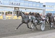 Inför V86/jackpot: Antonio Tabac tillbaka i Boden efter succé-segern Inför V86®/jackpot: Antonio Tabac tillbaka i Boden efter succé-segern