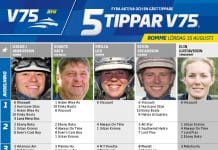 Fem tippar V75 till ROMME lördag 15 augusti 2020 Fem tippar V75 till ROMME lördag 15 augusti 2020