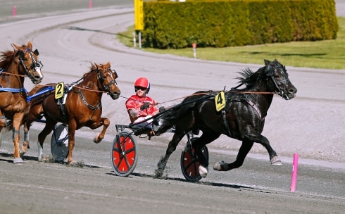 Inför V75 Trav är trav men vem ska kunna slå kallblodskungen