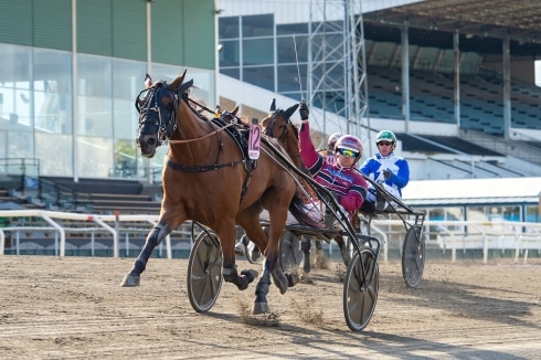 Inför V75: V75-favoriten har hittat helt rätt på mammas gata