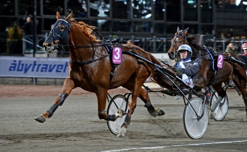 Inför V75®/jackpot: Formstark hemmaduo