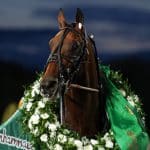 Inför V86 (onsdag): Multijackpot med världsstjärnan Ecurie D Inför V86® Super Days (onsdag): Multijackpot med världsstjärnan Ecurie D
