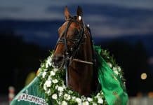 Inför V86 (onsdag): Multijackpot med världsstjärnan Ecurie D Inför V86® Super Days (onsdag): Multijackpot med världsstjärnan Ecurie D
