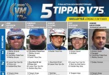 Fem tippar V75 till SKELLEFTEÅ 3 oktober 2020 Fem tippar V75 till SKELLEFTEÅ 3 oktober 2020