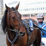 Inför V75: Mr 100 Procent Inför V75: Mr 100 Procent
