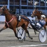 Inför V75® (dubbeljackpot): Träningen i Sibirien bakom framgångarna Inför V75® (dubbeljackpot): Träningen i Sibirien bakom framgångarna