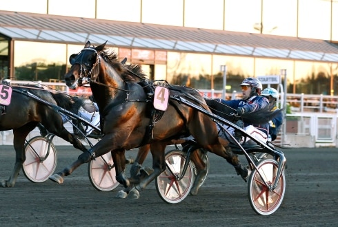 Inför V75® (söndag): Förlorar ogärna en tredje gång i Sverige