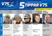 Fem tippar V75 till GÄVLE 17 Oktober 2020 Fem tippar V75 till GÄVLE 17 Oktober 2020