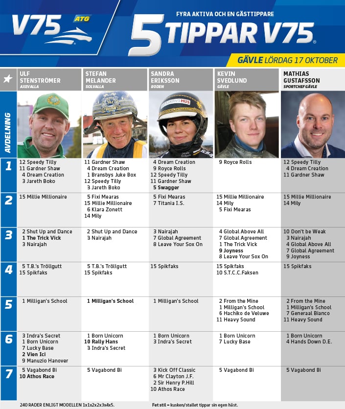 Fem tippar V75 till GÄVLE 17 Oktober 2020
