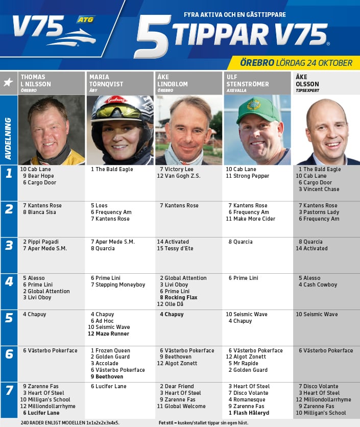 Fem tippar V75 till Örebro 24 oktober 2020