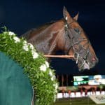 Inför finalen av Solvalla Grand Prix Finalen av Solvalla Grand Prix