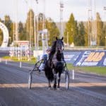 Inför GS75®: Inga broddbekymmer – höstbana i Boden Inför GS75®: Inga broddbekymmer - höstbana i Boden
