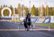 Inför GS75®: Inga broddbekymmer – höstbana i Boden Inför GS75®: Inga broddbekymmer - höstbana i Boden