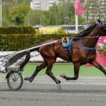Inför V75®: Salmela segersäker Inför V75®: Salmela segersäker