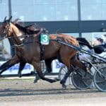 Inför V75® (dubbeljackpot): Bergh kommer att ha bråttom med storfavoriten Inför V75® (dubbeljackpot): Bergh kommer att ha bråttom med storfavoriten