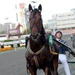 Inför V75® (söndag): Lugauer varnar för en riktig rysare Inför V75® (söndag): Lugauer varnar för en riktig rysare
