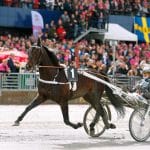 Inför V86®: Salmelas stjärna tillbaka efter vila Inför V86®: Salmelas stjärna tillbaka efter vila