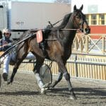 Inför V75 (Jackpot): ”Plan A är att köra full fart till ledningen” Plan A är att köra full fart till ledningen