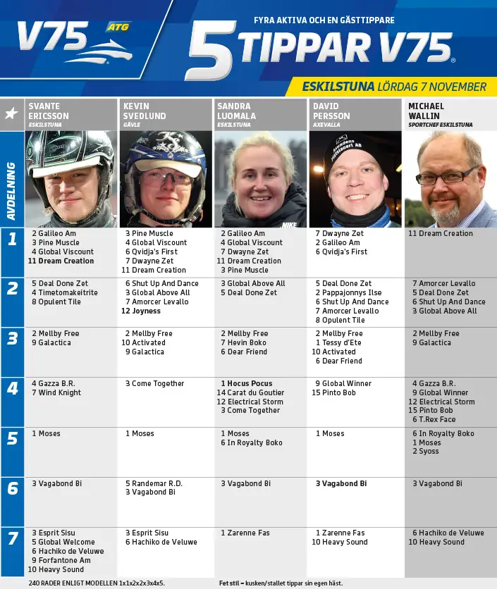 Fem tippar V75 till Eskilstuna 7 november 2020