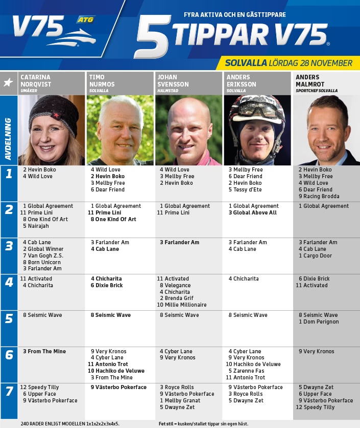 Fem tippar V75 Solvalla 28 november 2020