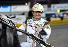 Inför V86®: Nordström jagar ett hattrick i Svensk Uppfödningslöpning Inför V86®: Nordström jagar ett hattrick i Svensk Uppfödningslöpning