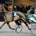 Inför V86: ”Han känns kanonfin i träningen” Inför V86: "Han känns kanonfin i träningen"