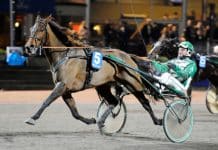 Inför V86: ”Han känns kanonfin i träningen” Inför V86: "Han känns kanonfin i träningen"