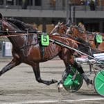 Inför V75®: ”Tjänat över en miljon med skor” Inför V75®: "Tjänat över en miljon med skor"