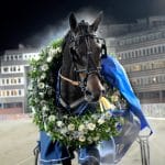 Vinterstatistik inför V75 Vinter och barfotaförbud. Vilka av lördagens hästar trivs den här tiden på året och vilka gör det inte? Det kan vara värt att veta i jakten på sju rätt på V75. Även om kylan fortfarande lyser med sin frånvaro i stora delar av landet så utgör skotvånget i sig en skarp skiljelinje mellan höst och vinter på våra travbanor. Därför kan det vara intressant att titta på hur lördagens hästar presterat under tidigare vintrar, speciellt nu i början av förbudet när många inte hunnit starta i december och kommer direkt från barfotatävlande. Med hjälp av databasen travfakta.se har vi kikat på resultaten för samtliga omgångens hästar under månaderna december-februari och jämfört det med deras totala resultat. Ett positivt index innebär att resultaten är bättre på vintern och vice versa. För att få ett index måste hästen ha gjort minst fem starter i Sverige under barfotaförbudet. Däremot skapas en egen kategori för hästar som gjort färre starter men vunnit under vintern, för att markera att de visat att de hanterar förutsättningarna. V75-1 11 Edmund +60 7 Gigantic Star +29 2 Durello +6 6 Sweetman -5 3 Taxi Out -9 1 Cojito -36 Ej indexerade som vunnit under vintern Ingen Kommentar: Den avdelning som har generellt svagast resultat vintertid. I princip ospelade Edmund har tävlat i monté på sistone, men tagit tre av sina fyra sulkysegrar i Sverige under vintertid. Gigantic Star har redan hunnit med två starter i december och vann på Lucia-dagen i fjol. Däremot räckte han inte från samma utgångsläge denna omgång förra året. V75-2 7 Move It Brodde +64 10 Digital Process +36 3 Youngblood -21 Ej indexerade som vunnit under vintern 1 Jeans’n Passion 2 Take it Easy On Tour 4 Speed Vici 5 Global Bergkamp 8 Nelle Atticus Lane 9 Keegan Trot Kommentar: Lägsta klassen innebär att bara tre hästar har tävlat tillräckligt för att få ett index, men notera hur många av deltagarna som ändå segrat minst en gång under vintern. Move It Brodde visade storform den här tiden i fjol medan favoriten Speed Vici segrade i vinterdebuten senast och har tagit tre av sina fem segrar med skor. Joakim Lövgren är också den av landets topptränare som höjer sin segerprocent mest under barfotaförbudet . V75-3 10 Master Crowe +61 6 Nadal Broline +28 4 Västerbo Exact +26 11 Bear Dancer +17 12 Partizan Face +17 7 Secret Mission +14 8 Toddler +2 2 Highspeed Call -10 Ej indexerade men vunnit under vintern 5 Lionel N.O. 9 Dragster Kommentar: Gulddivisionen ser flera vinterspecialister, inkluderat storfavoriten Nadal Broline som presterat allra bäst den här årstiden. Det stora frågetecknet är 1 Generaal Bianco som gjorde sin första start inte bara på vintern utan med skor senast och då underpresterade. Dragster gjorde sin enda vinterstart i januari 2018 och vann lätt till sju gånger pengarna efter att ha dragit stenhårt i ledningen. V75-4 10 Make More Cider +16 8 Dolly Dream 0 15 Looks Likeaqueen -37 12 Made in Sweden -44 Ej indexerade men vunnit under vintern 2 Gitane d’Inverne 4 Valeria Wareco 5 Nouba Mom 11 Laleh Pellini 13 Hasty Helene Kommentar: Orutinerade hästar innebär att de flesta inte uppfyller kraven för att få ett index. Bland dessa finns tre hästar på startvolten som kommer från decemberseger samt ofta barfotatravande Hasty Helene som vunnit två av sina fyra vinterstarter. Make More Cider må mestadels ha tävlat barfota i år, men har tagit karriärens samtliga åtta segrar med skor, varav två denna årstid. V75-5 12 Payet D.E. +89 2 Love Håleryd +55 5 Four Guys Dream +45 3 Inertial -8 7 Hurricane River -21 10 Gambit Brodde -40 Ej indexerade men vunnit under vintern 1 Bear Hope 4 Neelix 6 Procalate 8 Exclusive Matter 9 Galantis Kommentar: Här hittar vi några utpräglade årstidshästar med Payet D.E. i spetsen. Den tyskfödde femåringen har inte varit sämre än tvåa på sina åtta senaste starter under barfotaförbudet och av de fem segrarna är det bara den senaste som tagits från ledningen. Four Guys Dream har sin enda missade pallplacering under vintern den här tävlingsdagen i fjol, men gick då en stark avslutning som fyra från femte ytter. Bear Hope har inte tävlat vintertid sedan 2017-2018, men vann två av tre starter då. V75-6 8 Worth A Lot +18 10 Wild Love +11 1 Bambi A.F. -26 15 Julia Pellini -34 Ej indexerade men vunnit under vintern 11 Ultra Bright Kommentar: Klena resultat där importerna 2 Kali Smart och 13 Tessy d’Ete är de enda som aldrig startat under vintern i Sverige. Övriga oindexerade är segerlösa med undantaget Ultra Bright, som varit på pallen i alla sina tre starter. Kali Smart hade 1/3 vintertid i Nederländerna medan Tessy d’Ete tävlade barfota runt om 37 av 39 starter på fransk mark och slutade oplacerad båda gångerna med skor. Wild Love må ha sprungit barfota runt om varje gång på sistone, men har tidigare visat att hon tävlar utmärkt i juletid och vann V75 från spår 12 bakom bilen på Åby för ett år sedan. Hästen segrade även i denna decemberomgång på hemmaplan 2018. V75-7 7 Adiago Trot +53 8 Counterfeighter +35 9 Mr Perfection +21 6 Staro Leonardo +11 11 Betting Rebel -19 1 Franklin Face -18 4 Zio Tom Jet -27 2 Maze Runner -47 12 Maze Runner -55 Ej indexerade men vunnit under vintern 3 Gina Mearas Kommentar: Är det någon avdelning som statistiken talar för skräll så är det här. De fyra hästarna med positivt index tillhör alla de minst spelade i fältet. Åt andra hållet är favoritduon 5 Zap di Girifalco och 10 Farlander Am de enda i fältet som aldrig segrat under vintern. Den senare har bara gjort en vinterstart och var då femma i V75 på Åby i december 2018. För övrigt har han bara gjort en sulkystart i karriären med skor och det var vid vinsten i tävlingsdebuten sommaren 2018. Zap di Girifalco tävlade med skor runt om som duktig trea från dödens i Sverigedebuten i maj, sedan dess har han gått barfota bak varje gång. Robin Johansson, Kanal 75