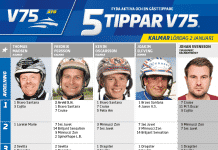Fem tippar V75 till KALMAR 2 januari 2021 Fem tippar V75 till KALMAR 2 januari 2021
