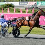 ”Klart att vi sneglar mot Elitloppet” "Klart att vi sneglar mot Elitloppet"