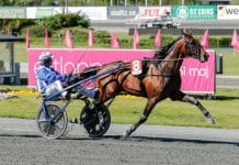 ”Klart att vi sneglar mot Elitloppet” "Klart att vi sneglar mot Elitloppet"