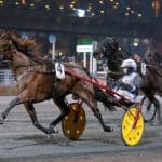 Inget Sweden Cup – då siktar Norqvist på Elitloppet Inget Sweden Cup – då siktar Norqvist på Elitloppet