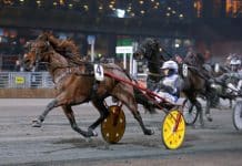 Inget Sweden Cup – då siktar Norqvist på Elitloppet Inget Sweden Cup – då siktar Norqvist på Elitloppet