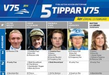Fem tippar V75 till ÅBY 13 februari 2021 Fem tippar V75 till ÅBY 13 februari 2021