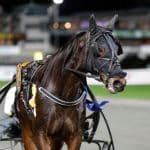Inför GS75: Spännande söndag för Stall Ratu Inför GS75: Spännande söndag för Stall Ratu