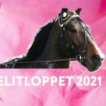 Bästa bettingtipsen för Elitloppet elitloppet 2021