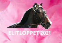Bästa bettingtipsen för Elitloppet elitloppet 2021