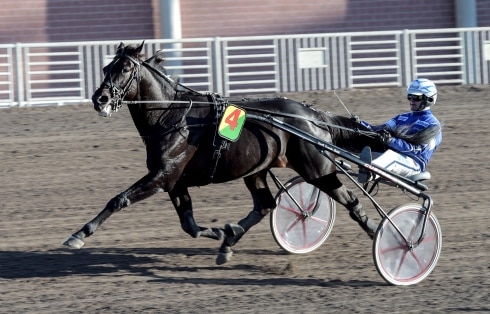 Very Kronos slipade formen på Solvalla