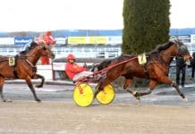 Disco Volante mot Elitloppet? Disco Volante mot Elitloppet?