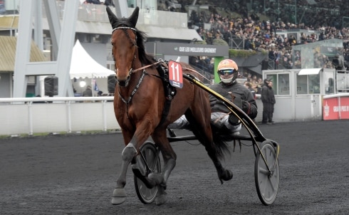 Inför V75® (lördag): Italiensk skräll på lut i Harpers