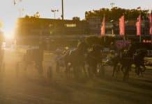 Quiz: Testa dina kunskaper om Elitloppet quiz testa dina kunskaper om elitloppet