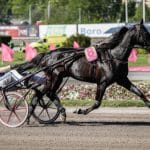 Inför V75 (jackpot): ”Given att vara högt upp i ranken” v75boden