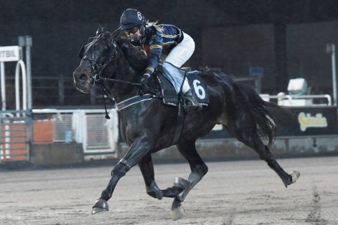 Inför V86®: The Big Bang trivs bäst under sadel